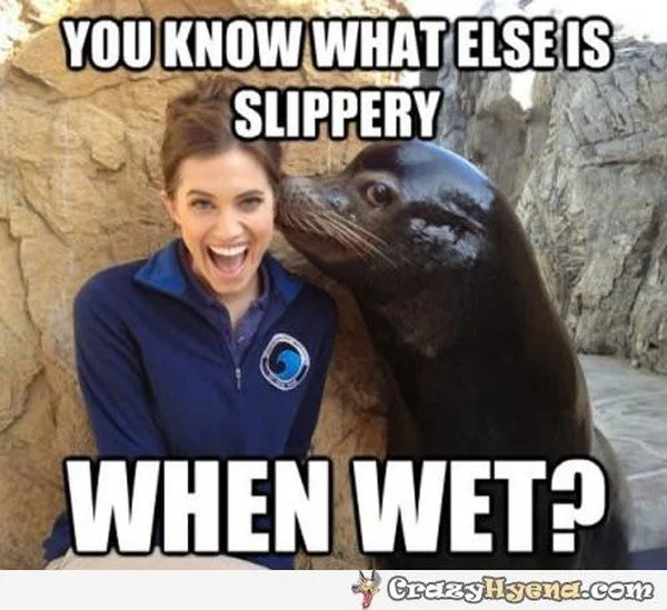 wet.webp