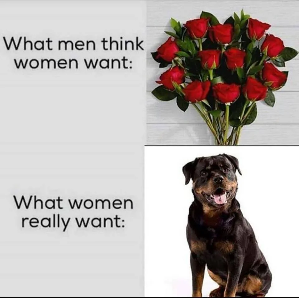 what she really wants.webp