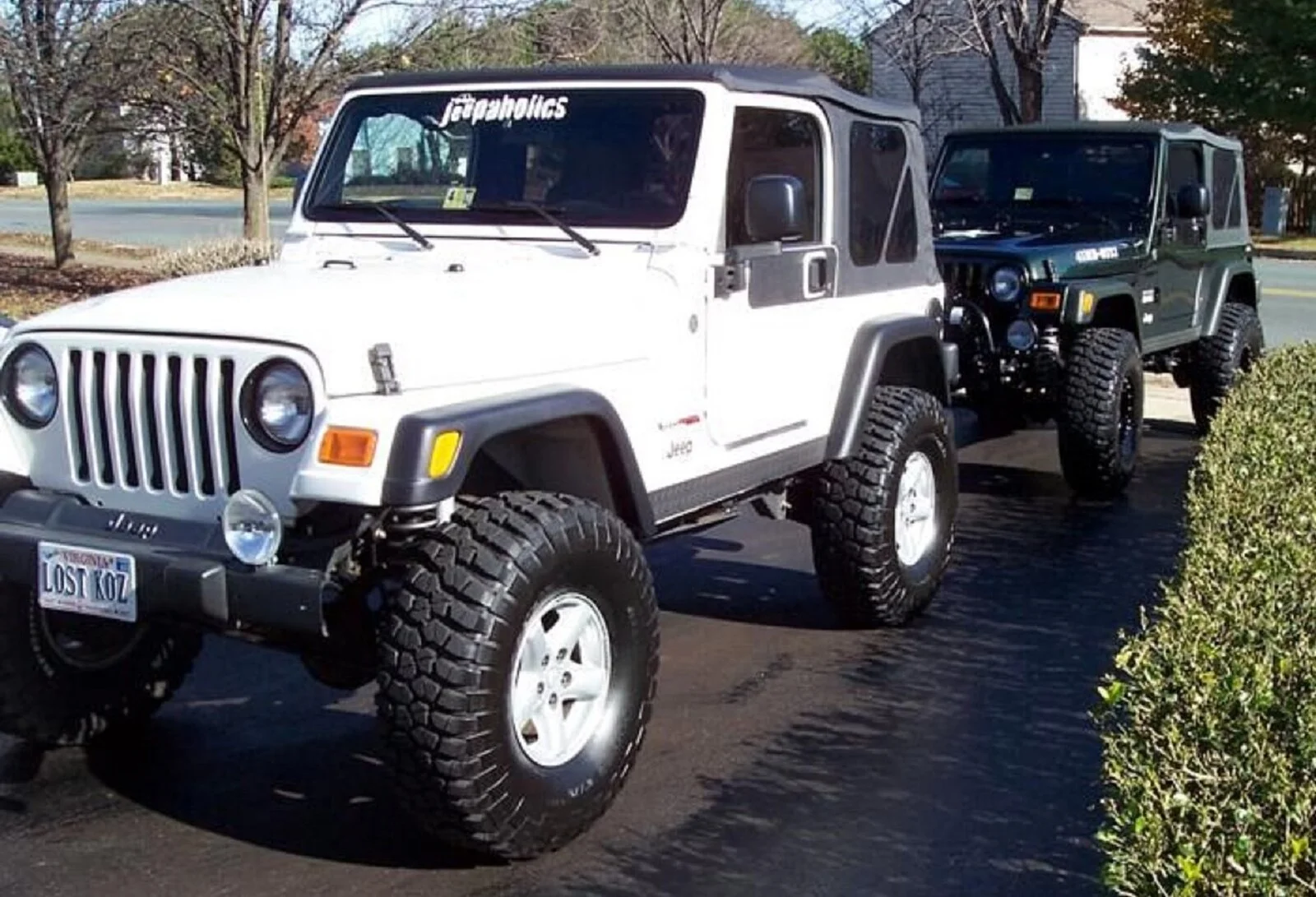 White and Green Jeeps (2).jpg