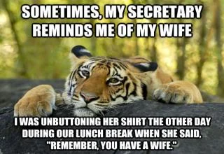 wife.webp