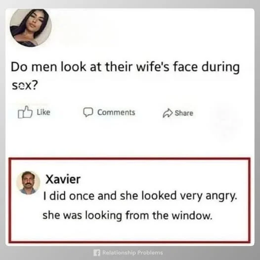 Wife Window.webp