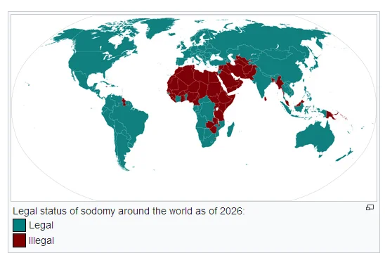 wikipedia.webp