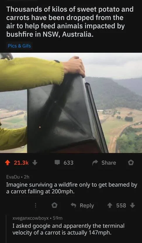 wildfire.webp