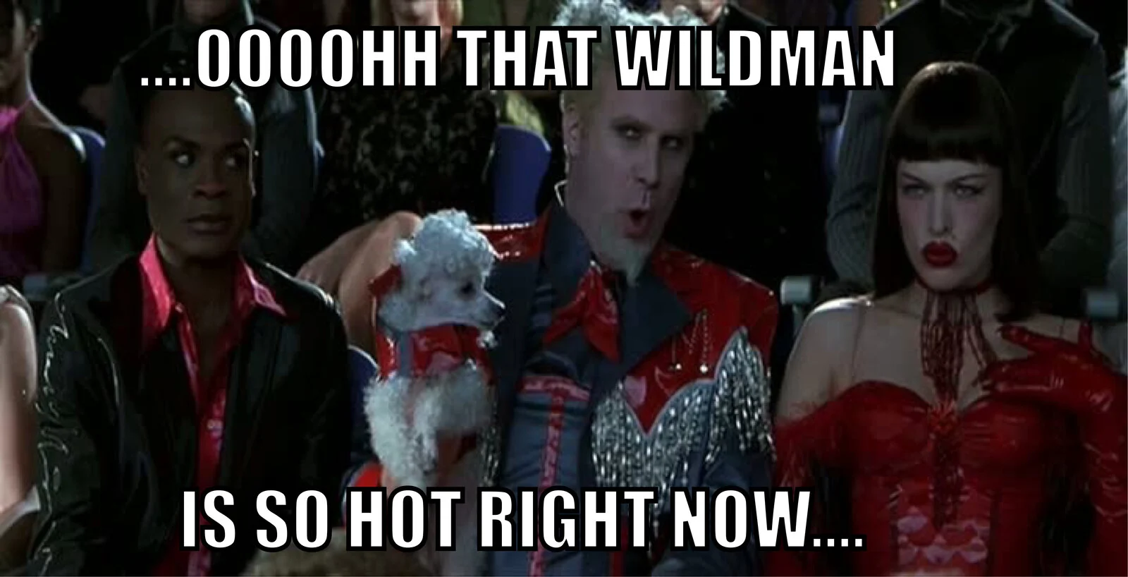 WILDMAN.webp