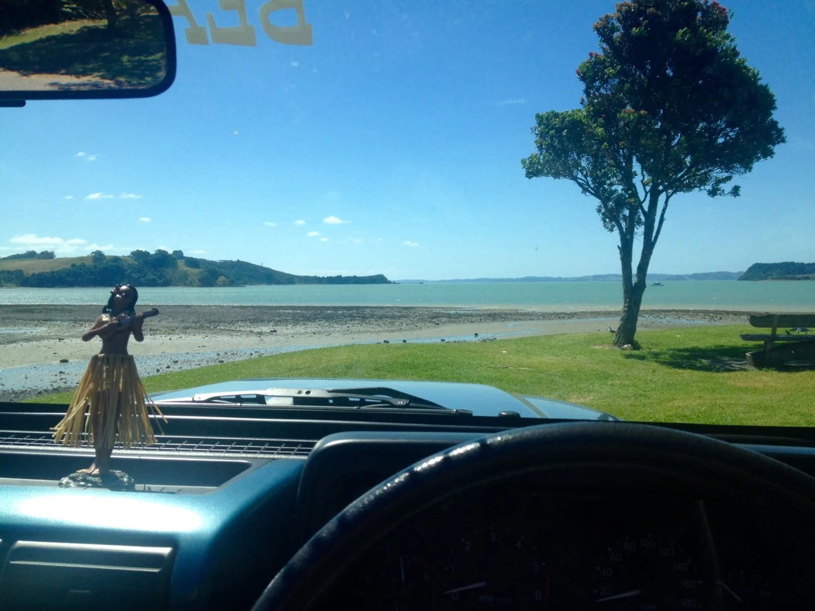 windsheild.webp
