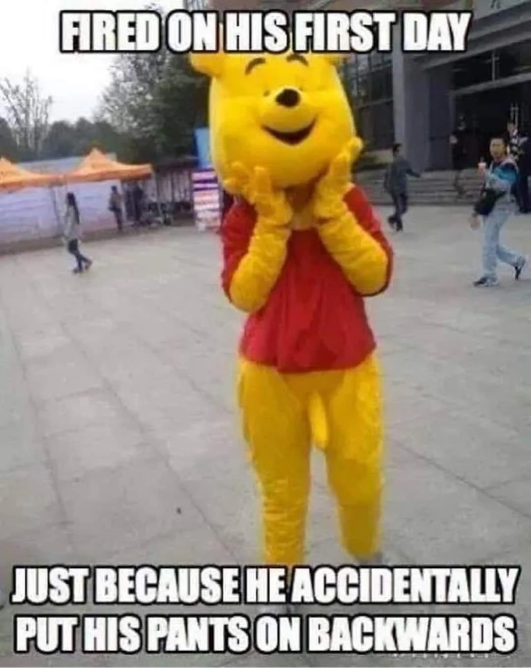 winnie.webp