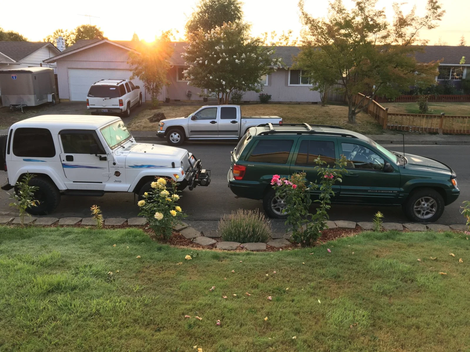 With the WJ.webp