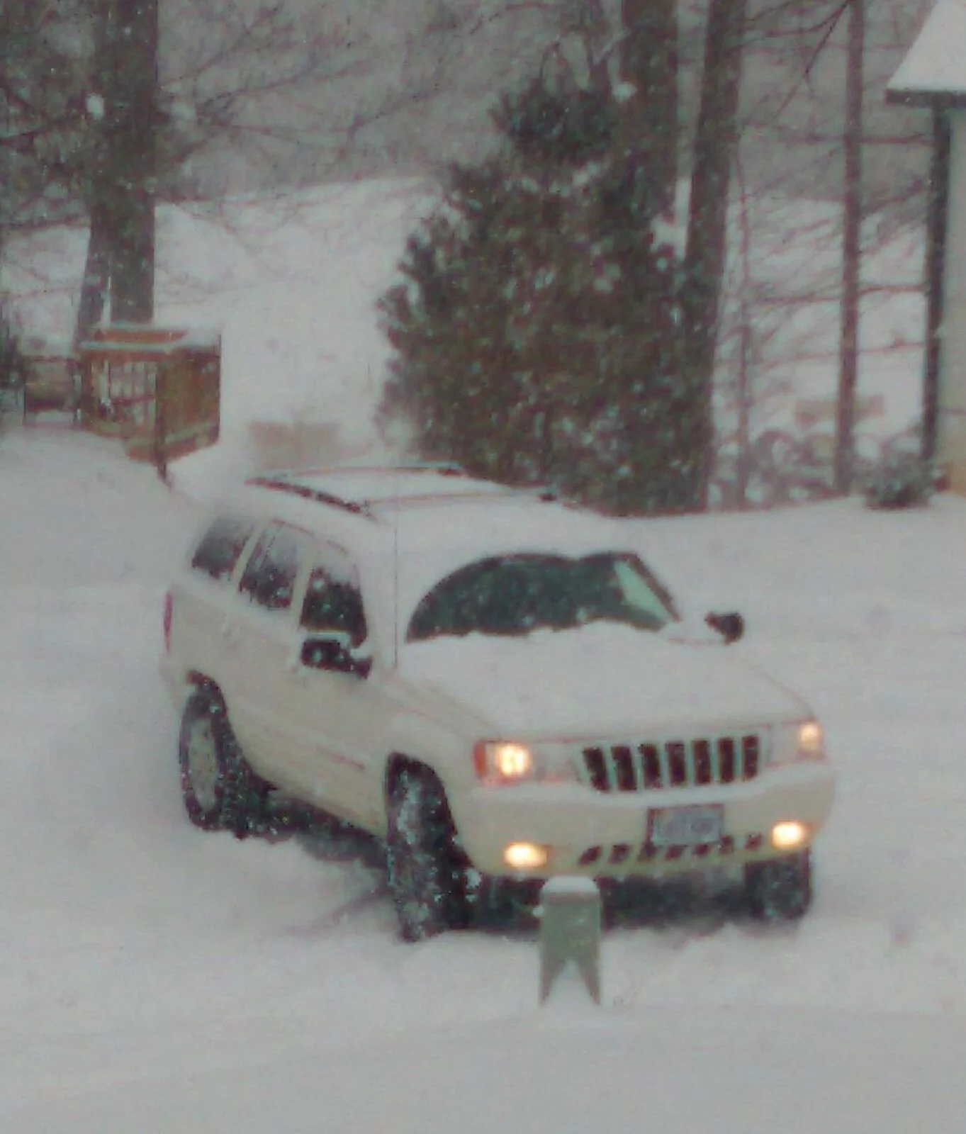 WJ SNOW (2).webp