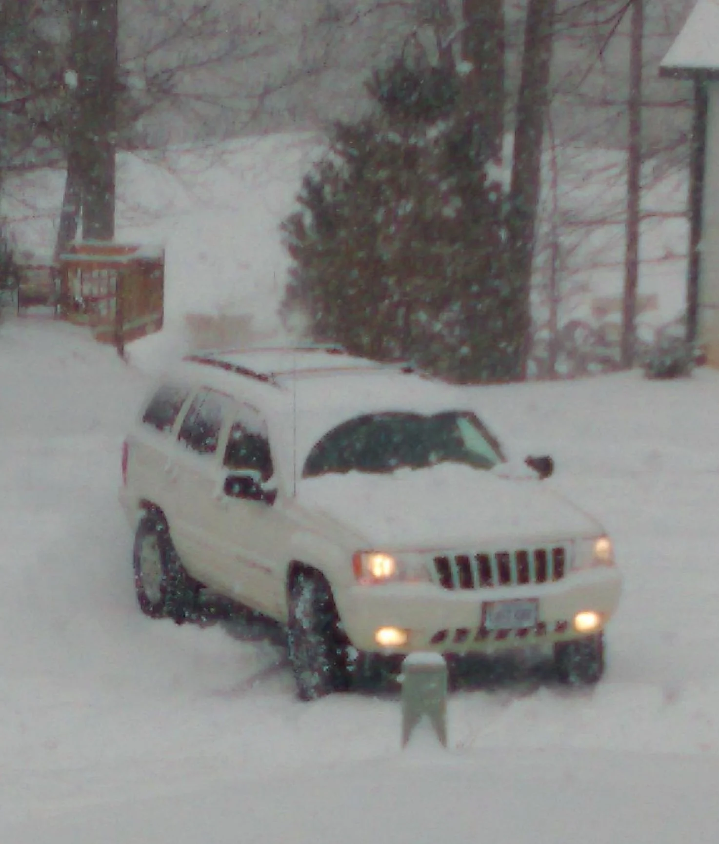 WJ SNOW (2).jpg