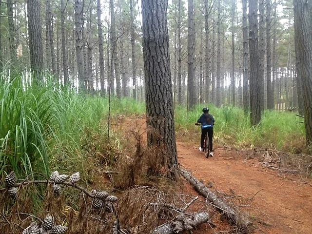 woodhill3.webp
