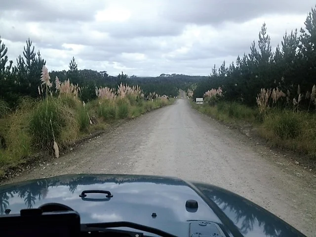 woodhill4.webp