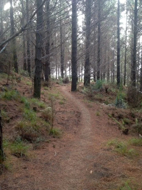 woodhill7.webp