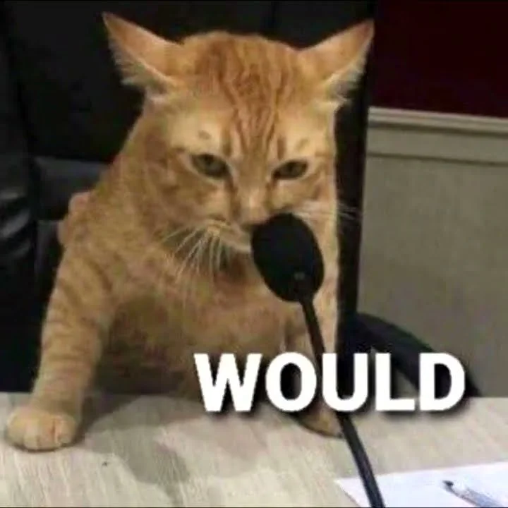 Would.webp