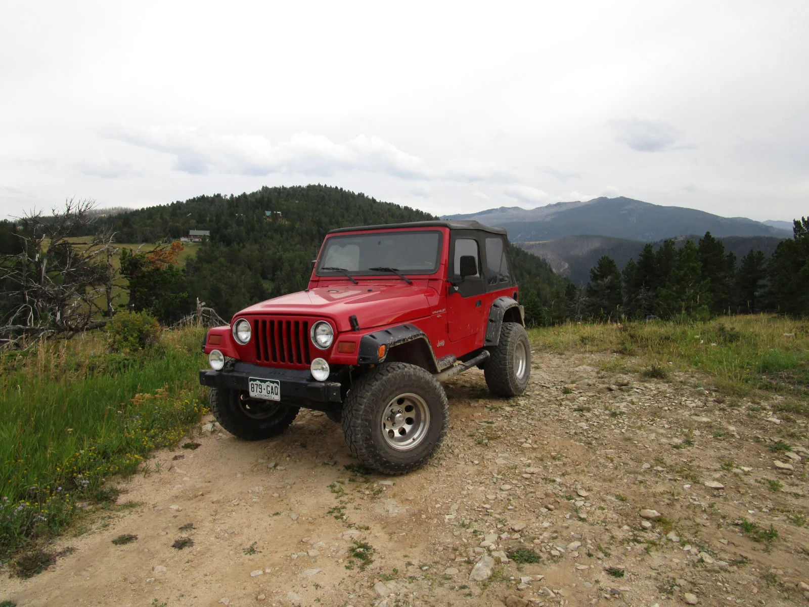Wrangler (6).JPG