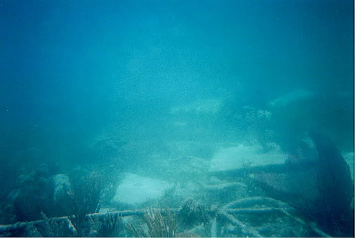 wreckage.jpg