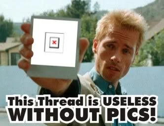 y-matter-this_thread_is_worthless_without_pictures.webp