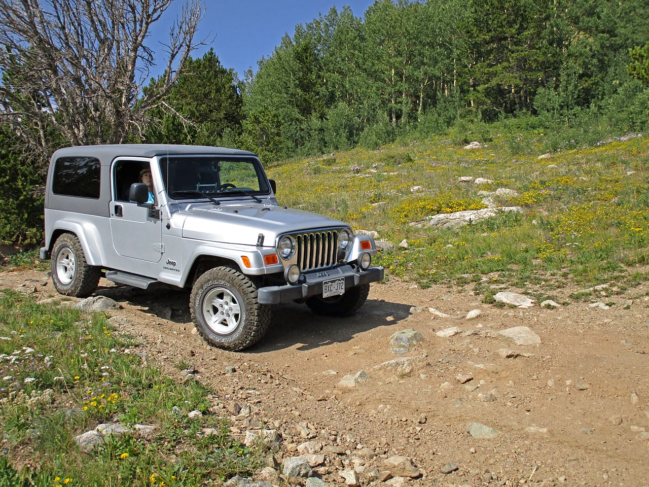 Yankee_Hill_01.webp