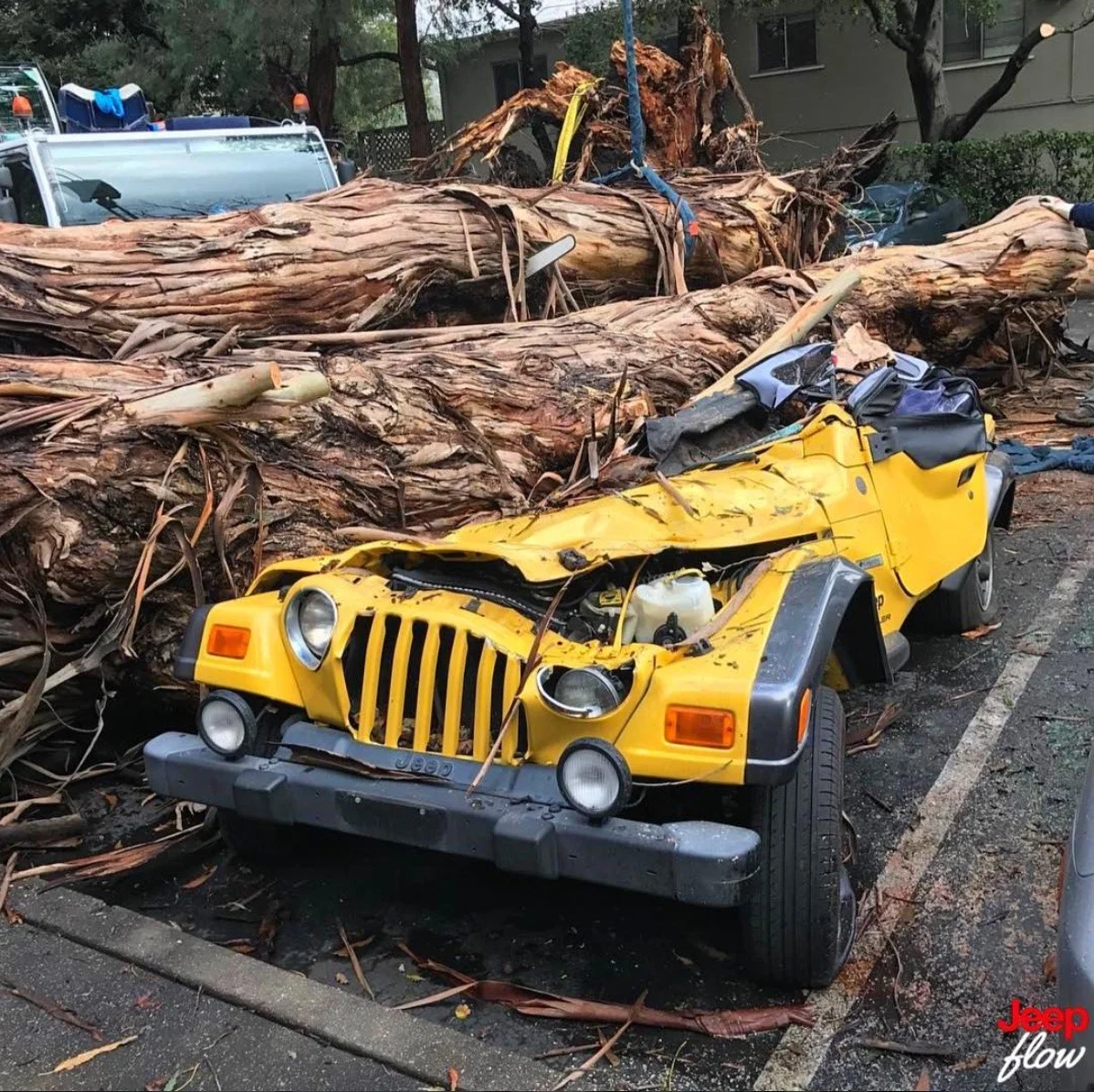 Yellow Jeep.webp
