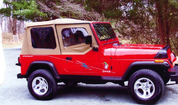 YJ (2).jpg