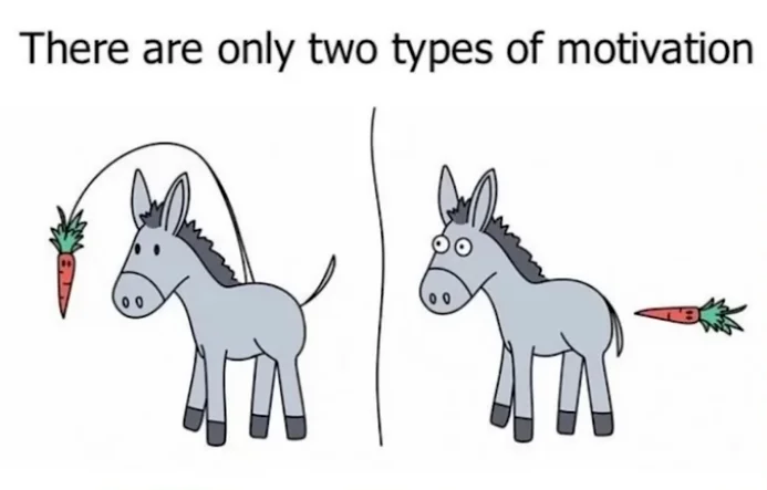 YopIqbJ.webp