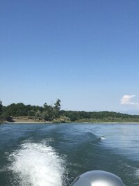 AB1C5394-A3A5-420E-880A-45EDCB9FEB24.jpeg AB1C5394-A3A5-420E-880A-45EDCB9FEB24.jpeg