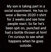 Bernie shirt.jpg