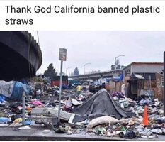 plastic straws.jpg