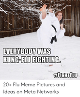 everybody-was-kung-flu-fighting-20-flu-meme-pictures-and-ideas-54081243.png