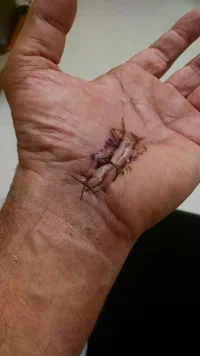 Left Hand 1.webp Left Hand 1.webp
