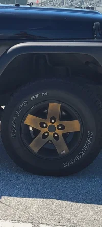 Screenshot_20201023-120638_Gallery.webp