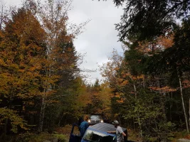 20171015_113846.webp
