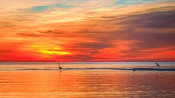 San Felipe Sunrise 2.jpg San Felipe Sunrise 2.jpg