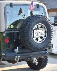 2017-04-09 rear plate.webp