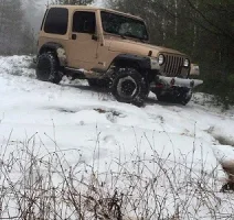 Snow.webp
