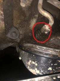 jeep tran line1_LI.webp jeep tran line1_LI.webp