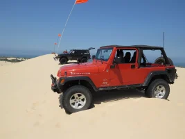 sand1.webp