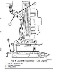 Heater Hoses.JPG