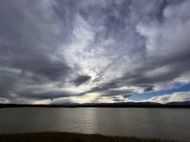FD3C40D9-3967-4366-AFF2-232CBE1469D0.webp