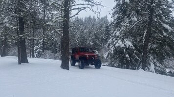 Photo contest thumbnail