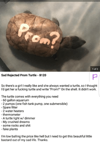 Prom Turtle - t.png