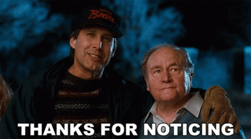 thanks-for-noticing-clark-griswold.gif