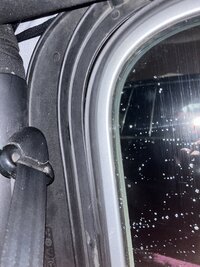 IMG_1380.jpeg