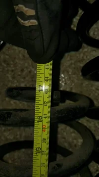 IMAG0736.webp IMAG0736.webp