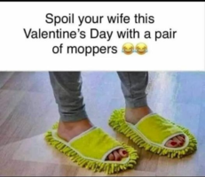 Valentines Moppers - t.png