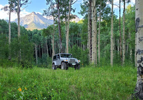 OldBuzzard_near_Ridgway_CO.jpg