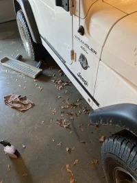 Rocker guards 1.webp Rocker guards 1.webp