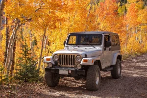 OldBuzzard_LimeCreekRoad_02.jpg OldBuzzard_LimeCreekRoad_02.jpg