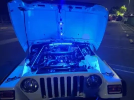 Light Blue under hood.jpg