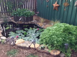 IMG_0044.webp IMG_0044.webp