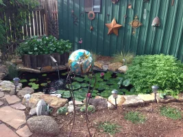 IMG_0046.webp IMG_0046.webp